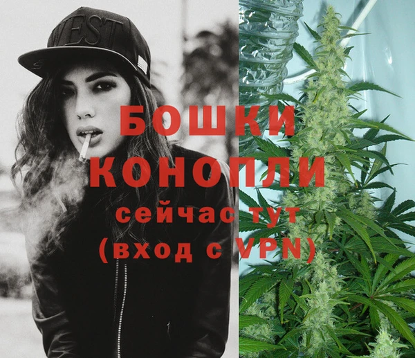 стаф Кукмор