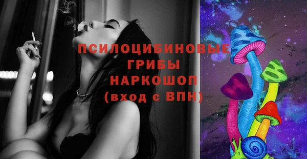 стаф Кукмор