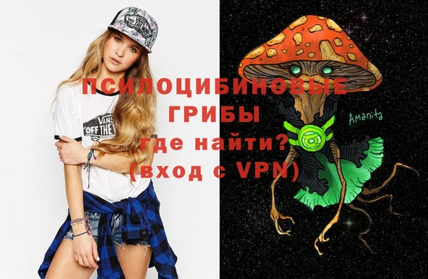 стаф Кукмор